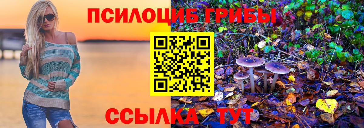 Псилоцибиновые грибы Cubensis  Вход с VPN  Галлюциногенные грибы прущие грибы  Алексин 